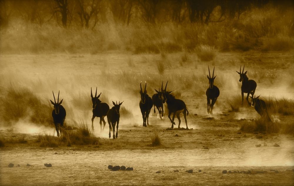 Nambwa Tented Lodge Kongola エクステリア 写真