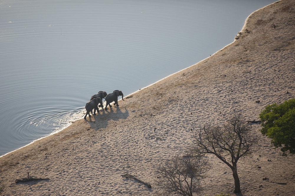 Nambwa Tented Lodge Kongola エクステリア 写真
