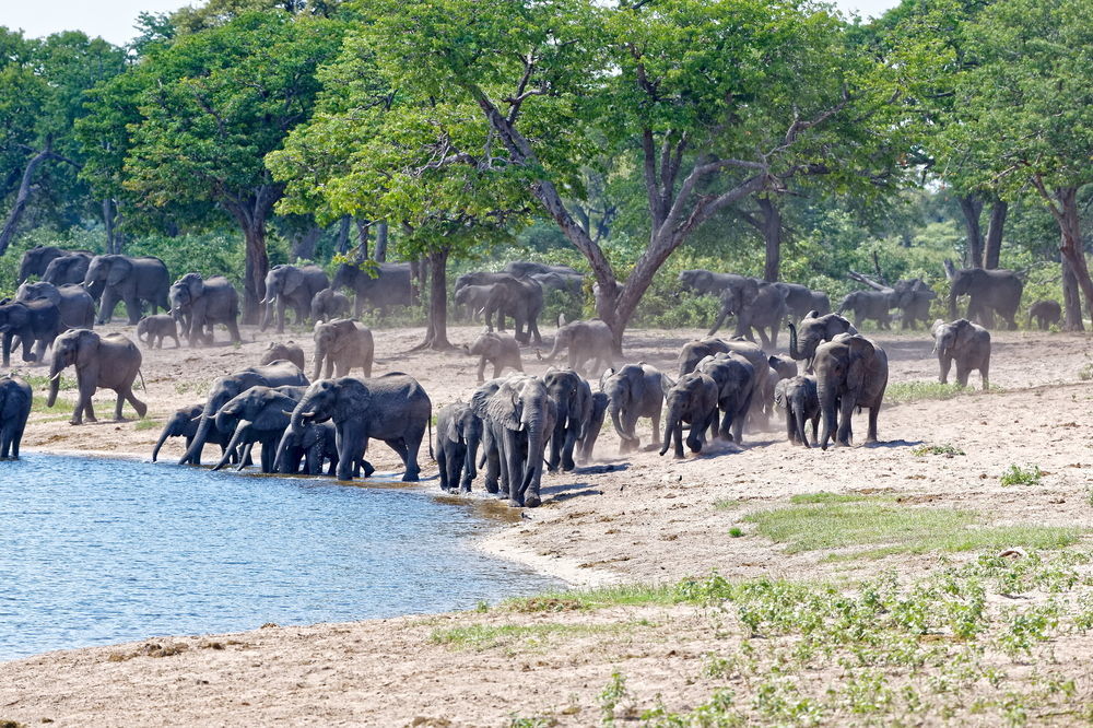Nambwa Tented Lodge Kongola エクステリア 写真