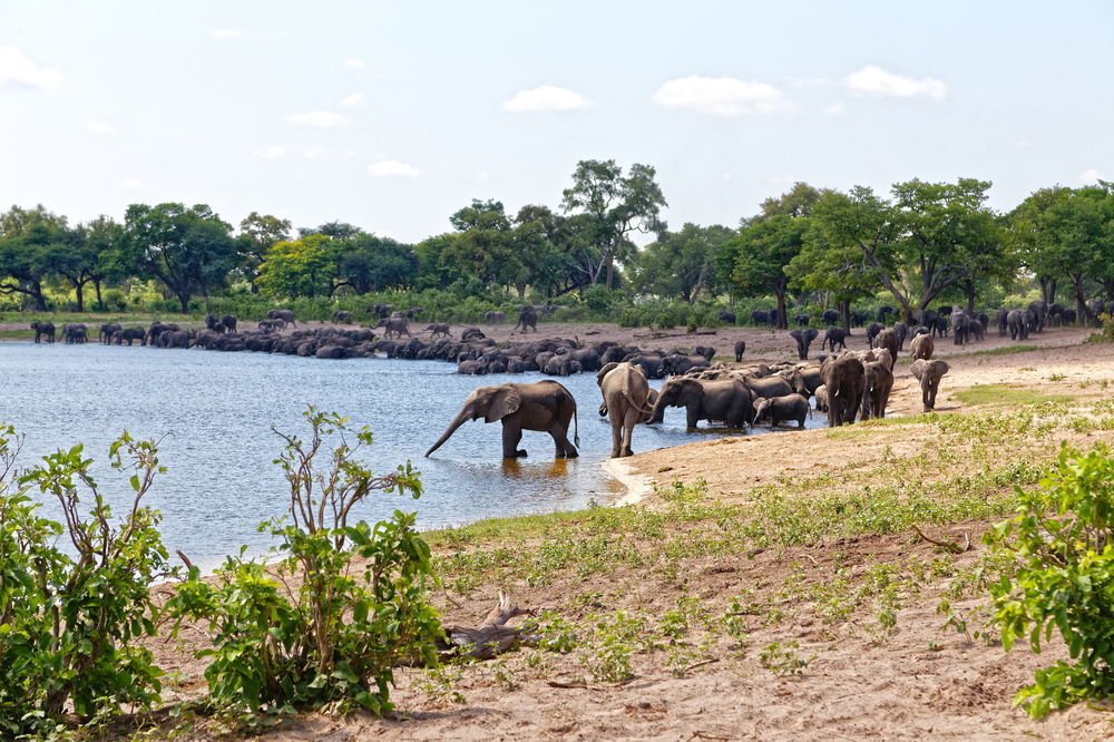 Nambwa Tented Lodge Kongola エクステリア 写真